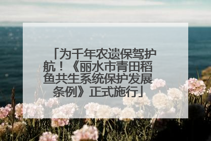 为千年农遗保驾护航！《丽水市青田稻鱼共生系统保护发展条例》正式施行