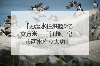 为澧水拦洪超9亿立方米——江垭、皂市两水库立大功