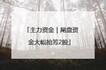 主力资金｜尾盘资金大幅抢筹2股