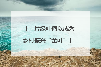 一片绿叶何以成为乡村振兴“金叶”