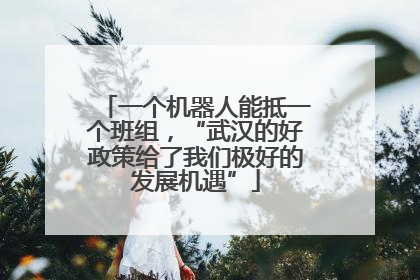 一个机器人能抵一个班组，“武汉的好政策给了我们极好的发展机遇”