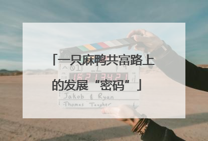 一只麻鸭共富路上的发展“密码”