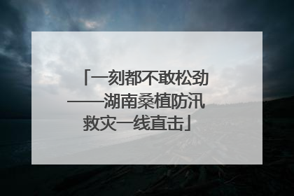 一刻都不敢松劲——湖南桑植防汛救灾一线直击