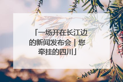 一场开在长江边的新闻发布会｜您牵挂的四川