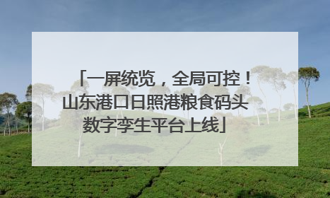 一屏统览，全局可控！山东港口日照港粮食码头数字孪生平台上线