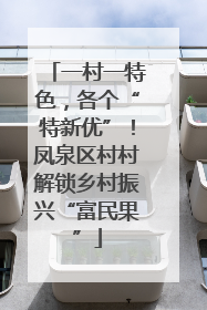一村一特色，各个“特新优”！凤泉区村村解锁乡村振兴“富民果”