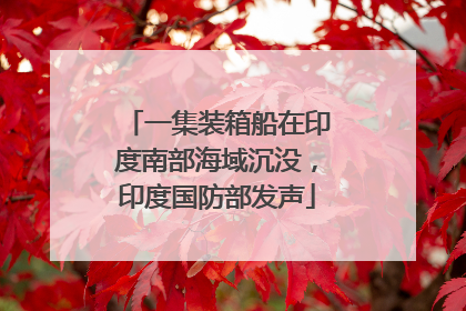 一集装箱船在印度南部海域沉没，印度国防部发声