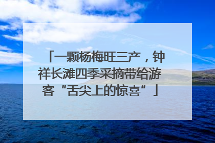 一颗杨梅旺三产，钟祥长滩四季采摘带给游客“舌尖上的惊喜”
