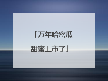 万年哈密瓜甜蜜上市了