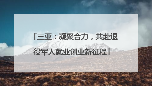 三亚：凝聚合力，共赴退役军人就业创业新征程