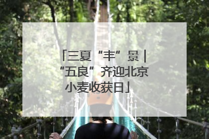 三夏“丰”景｜“五良”齐迎北京小麦收获日