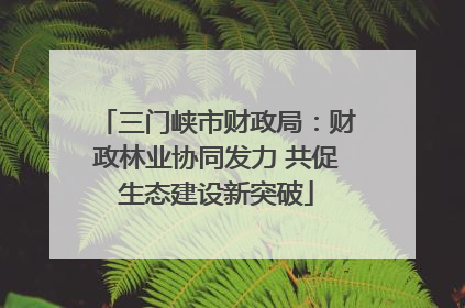 三门峡市财政局：财政林业协同发力 共促生态建设新突破