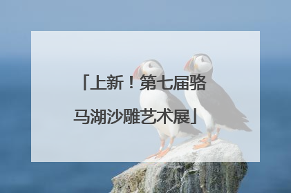 上新！第七届骆马湖沙雕艺术展