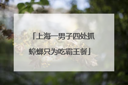 上海一男子四处抓蟑螂只为吃霸王餐