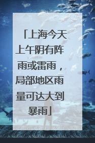 上海今天上午阴有阵雨或雷雨，局部地区雨量可达大到暴雨