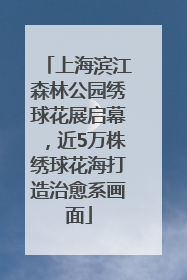 上海滨江森林公园绣球花展启幕，近5万株绣球花海打造治愈系画面