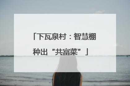 下瓦泉村：智慧棚种出“共富菜”