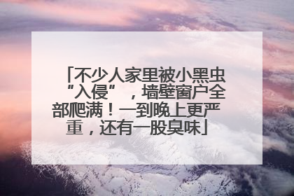 不少人家里被小黑虫“入侵”，墙壁窗户全部爬满！一到晚上更严重，还有一股臭味
