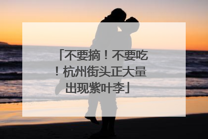 不要摘！不要吃！杭州街头正大量出现紫叶李
