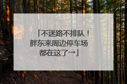 不迷路不排队！胖东来周边停车场都在这了→