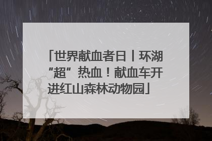 世界献血者日丨环湖“超”热血！献血车开进红山森林动物园