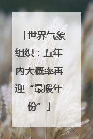 世界气象组织：五年内大概率再迎“最暖年份”