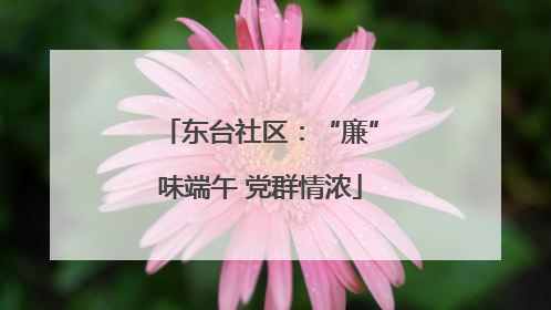 东台社区：“廉”味端午 党群情浓