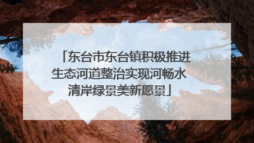 东台市东台镇积极推进生态河道整治实现河畅水清岸绿景美新愿景