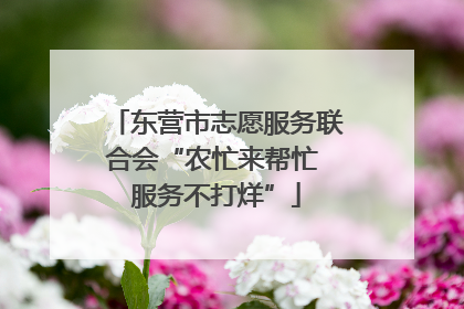 东营市志愿服务联合会“农忙来帮忙 服务不打烊”