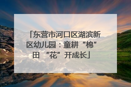东营市河口区湖滨新区幼儿园：童耕“棉”田 “花”开成长
