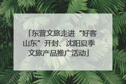 东营文旅走进“好客山东”开封、沈阳夏季文旅产品推广活动