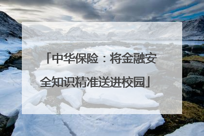 中华保险：将金融安全知识精准送进校园