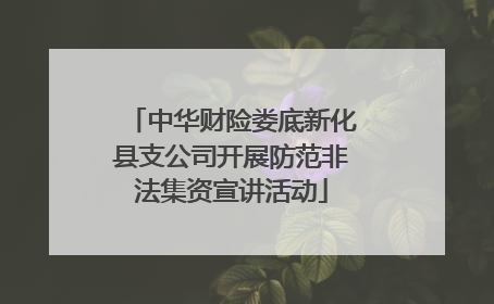 中华财险娄底新化县支公司开展防范非法集资宣讲活动