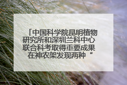 中国科学院昆明植物研究所和深圳兰科中心联合科考取得重要成果 在神农架发现两种“国保”级兰花