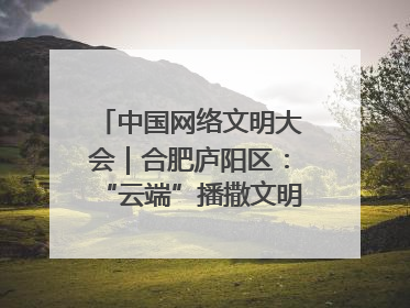 中国网络文明大会｜合肥庐阳区：“云端”播撒文明种子 共建清朗网络空间