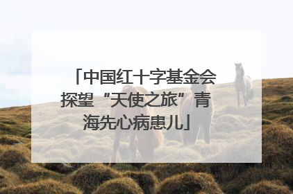 中国红十字基金会探望“天使之旅”青海先心病患儿