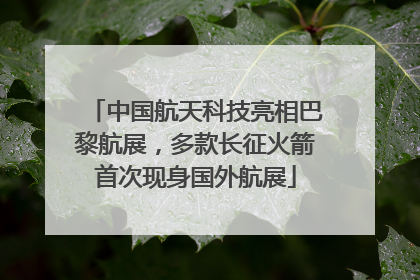 中国航天科技亮相巴黎航展，多款长征火箭首次现身国外航展