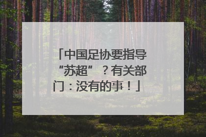 中国足协要指导“苏超”？有关部门：没有的事！