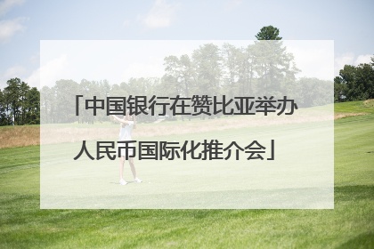 中国银行在赞比亚举办人民币国际化推介会