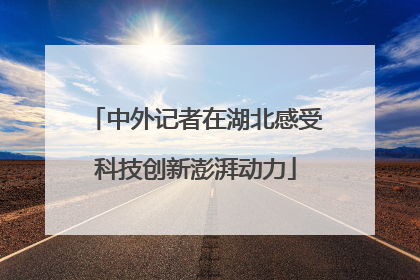 中外记者在湖北感受科技创新澎湃动力