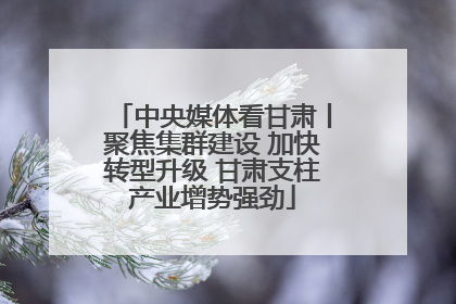 中央媒体看甘肃丨聚焦集群建设 加快转型升级 甘肃支柱产业增势强劲