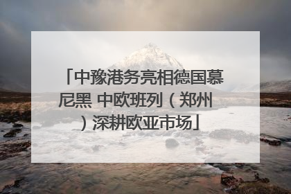 中豫港务亮相德国慕尼黑 中欧班列（郑州）深耕欧亚市场