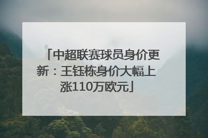 中超联赛球员身价更新：王钰栋身价大幅上涨110万欧元