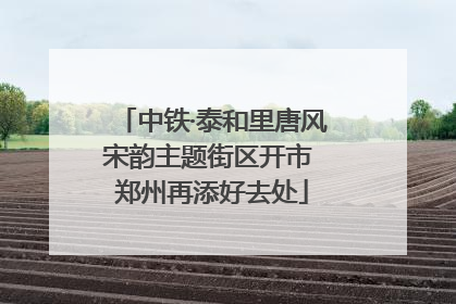 中铁·泰和里唐风宋韵主题街区开市 郑州再添好去处