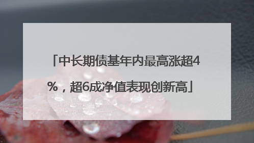 中长期债基年内最高涨超4%，超6成净值表现创新高