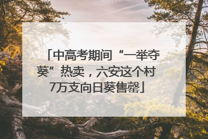 中高考期间“一举夺葵”热卖，六安这个村7万支向日葵售罄