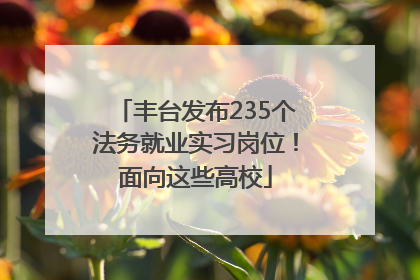 丰台发布235个法务就业实习岗位！面向这些高校