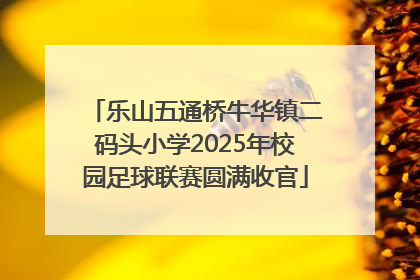 乐山五通桥牛华镇二码头小学2025年校园足球联赛圆满收官