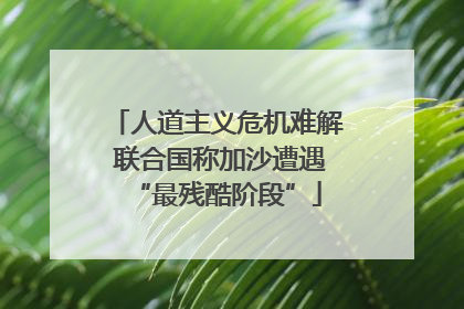 人道主义危机难解 联合国称加沙遭遇“最残酷阶段”