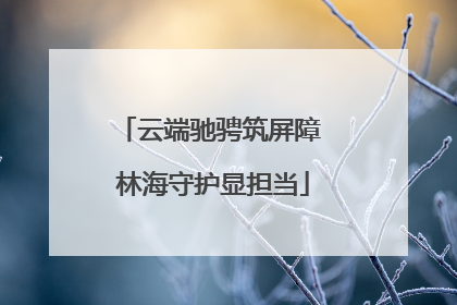 云端驰骋筑屏障 林海守护显担当